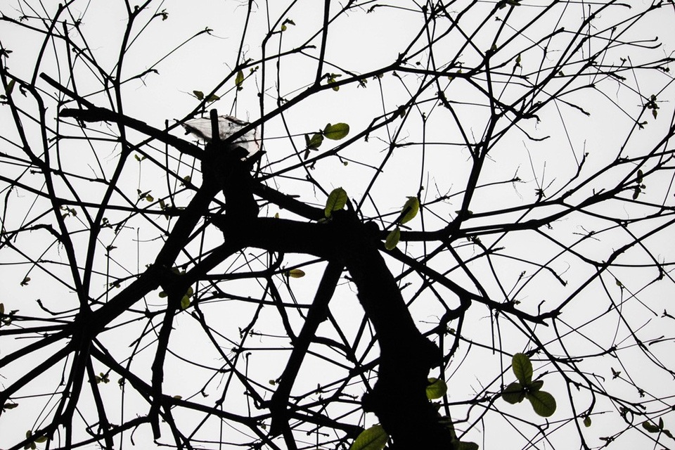 Một Hà Nội "lặng" qua khung hình bạn trẻ Hà thành - 12