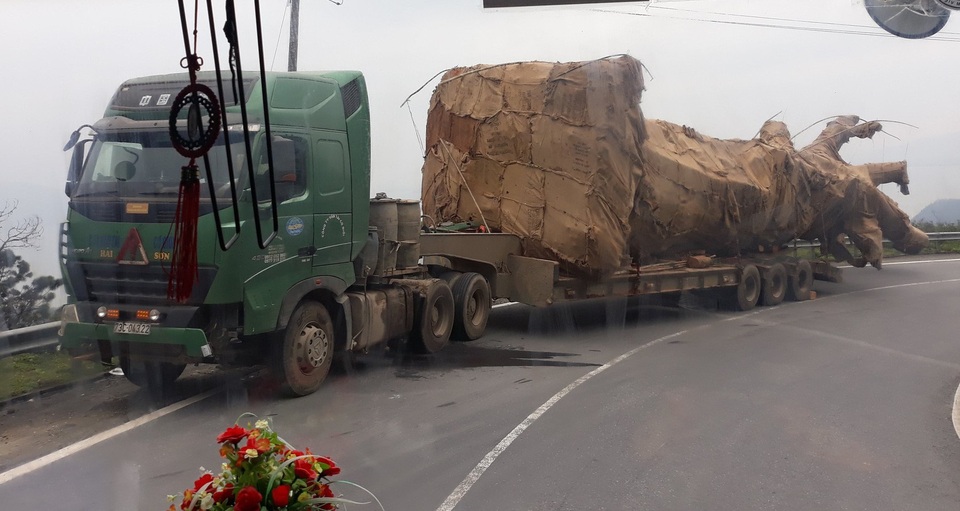 Kỳ lạ CSGT 16 tỉnh thành “không nhìn thấy” xe chở cây “quái thú” (!?) - 5 Kỳ lạ CSGT 16 tỉnh thành “không nhìn thấy” xe chở cây “quái thú” (!?) - 5