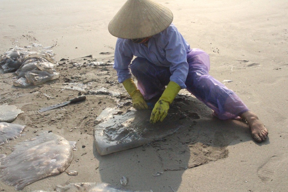 Ngư dân hối hả hái vào vụ thu hoạch sứa biển - 6 Dùng cát chà cho sứa hết nhớt để tránh gây dị ứng