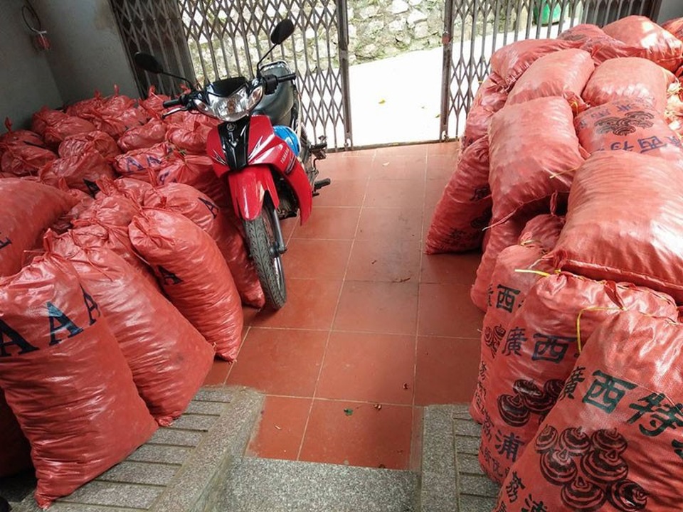 Mã thầy giải nhiệt: Hàng Trung Quốc đội lốt đặc sản Việt, lừa dân lãi 1 gấp 3 - 1 Củ mã thầy Trung Quốc ồ ạt về Việt Nam