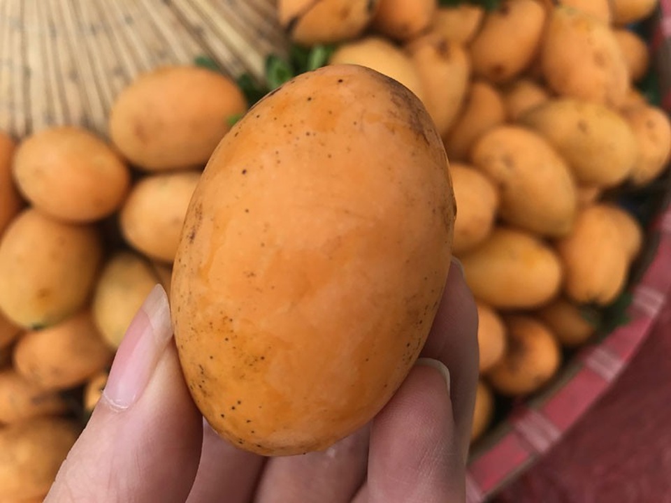 Bí ẩn loại quả giống hệt biwa Nhật: Cơn sốt trên vỉa hè Hà Nội - 2
Nhiều người mua vì tò mò khi thấy thanh trà nhìn giống với quả biwa Nhật Bản