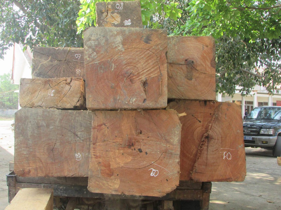 Khai thác, vận chuyển gỗ bằng xe độ chế ra khỏi rừng - 3 Các khúc gỗ đều được xe thành từng khúc gỗ vuông vắn