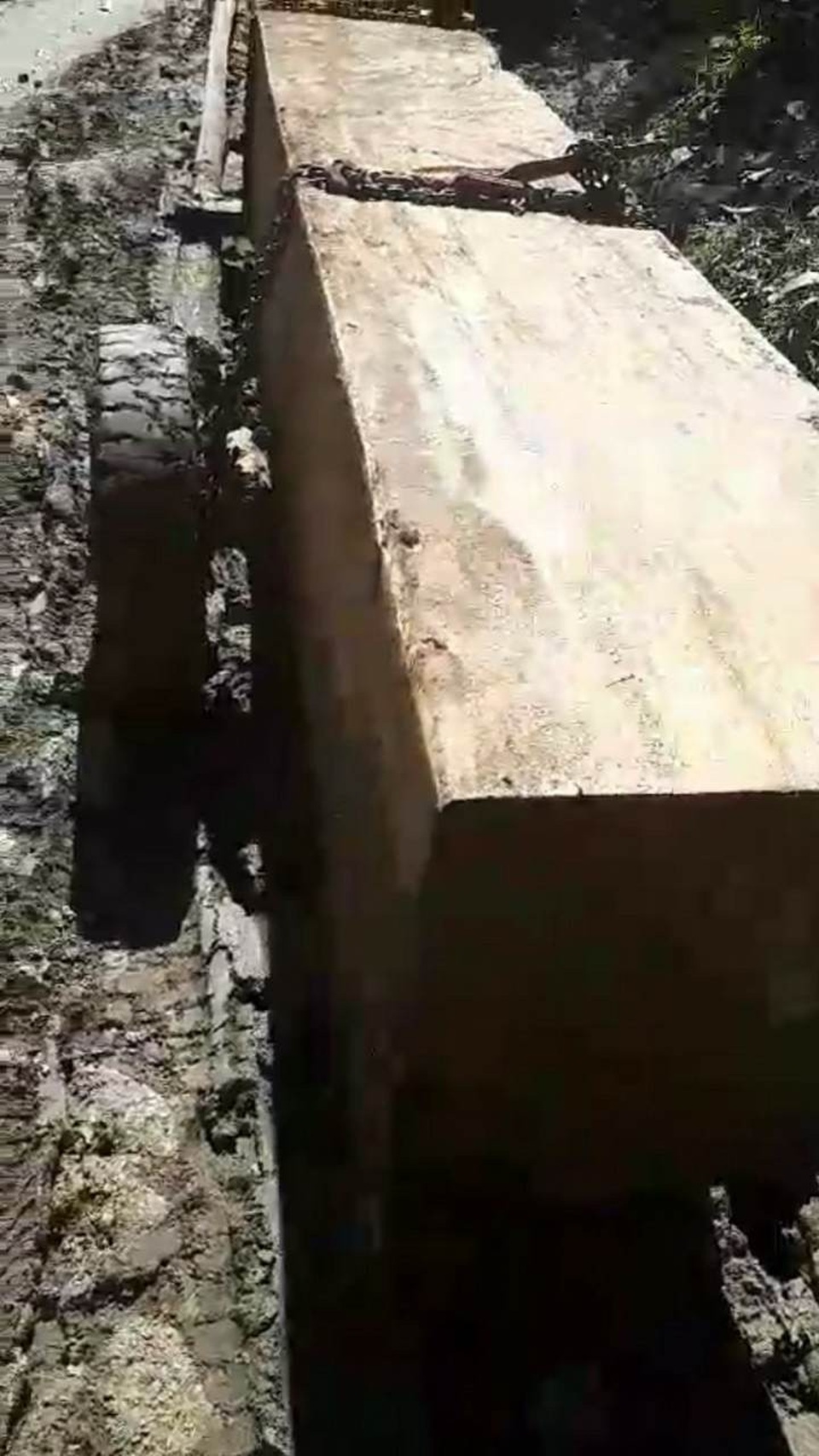 Khai thác, vận chuyển gỗ bằng xe độ chế ra khỏi rừng - 2 Gỗ được vận chuyển bằng cách kéo trên những chiếc xe độ chế