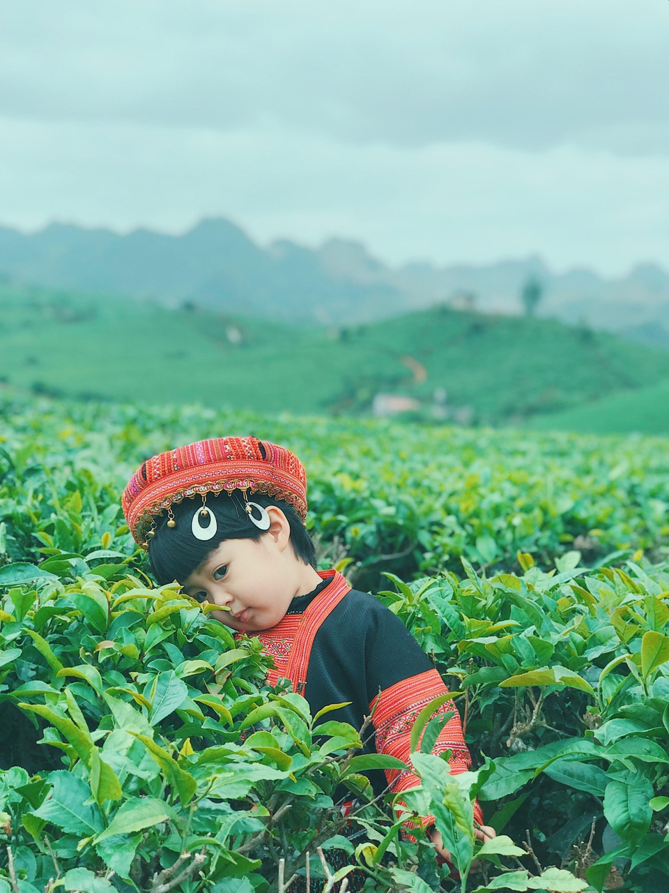 Ngắm trọn sắc màu Mộc Châu qua bộ ảnh cực dễ thương của “phượt thủ nhí” - 5 Ngắm trọn sắc màu Mộc Châu qua bộ ảnh cực dễ thương của “phượt thủ nhí” - 5
