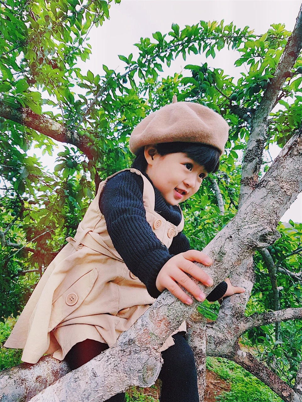 Ngắm trọn sắc màu Mộc Châu qua bộ ảnh cực dễ thương của “phượt thủ nhí” - 11
Không những tạo dáng dưới mặt đất, bạn ấy còn tạo dáng trên cây,...