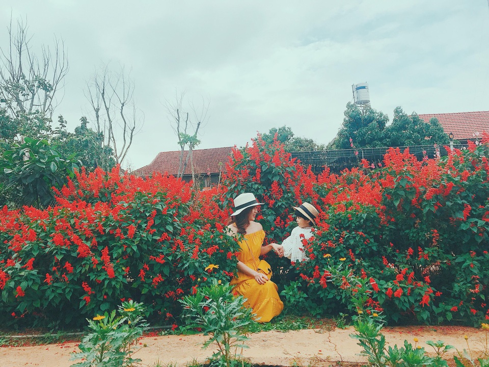 Ngắm trọn sắc màu Mộc Châu qua bộ ảnh cực dễ thương của “phượt thủ nhí” - 9
Họ ngọt ngào bên sắc đỏ của hoa xác pháo
