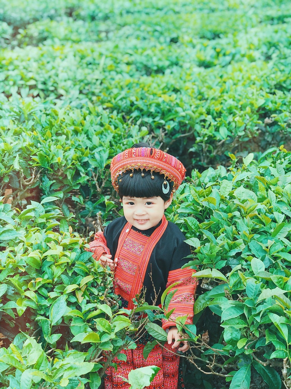 Ngắm trọn sắc màu Mộc Châu qua bộ ảnh cực dễ thương của “phượt thủ nhí” - 4 Ngắm trọn sắc màu Mộc Châu qua bộ ảnh cực dễ thương của “phượt thủ nhí” - 4