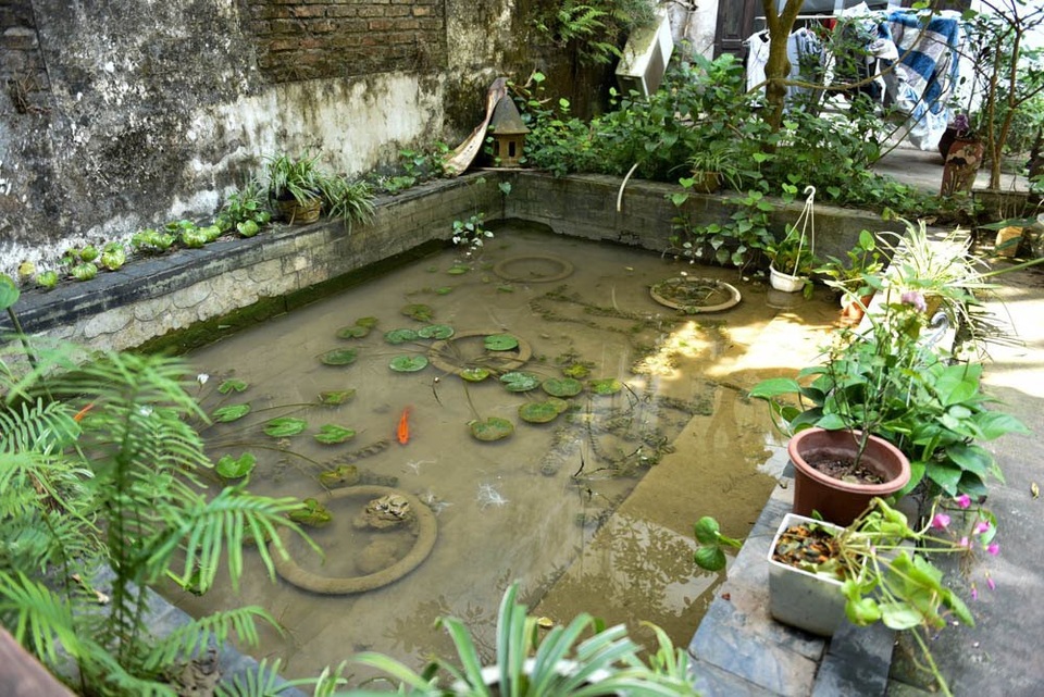Nhà 400m2 kiểu cổ giữa Hà Nội và ngôi làng “bí ẩn” của đạo diễn Lưu Trọng Ninh - 6 Dạo bước trong khu vườn còn có thể ngắm đàn cá tung tăng bơi lội.