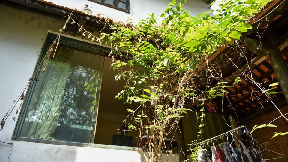 Nhà 400m2 kiểu cổ giữa Hà Nội và ngôi làng “bí ẩn” của đạo diễn Lưu Trọng Ninh - 5 Hình ảnh rất đỗi dung dị trong những nếp nhà xưa, giàn hoa ôm lấy mái nhà, rủ xuống hiên nhà, tạo nên một khung cảnh thanh bình, thơ mộng. Không rực rỡ như màu vàng của nắng cũng chẳng mộng mơ như sắc tím cỏ hoa, màu ngói cũ mang vẻ trầm mặc nguyên sơ