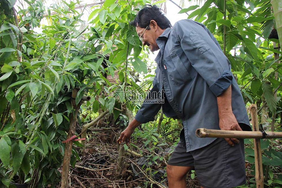 Lời khai rợn người của nghi phạm chém lìa đầu người ở Đồng Tháp - 2
Phần đầu của nạn nhân bị Tâm vứt sang vườn của ông Nguyễn Ngọc Minh - tổ trưởng khóm 3