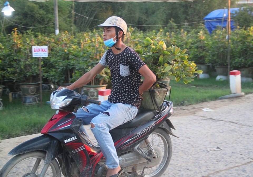 Thời tiết bất thường, người trồng mai thấp thỏm chờ Tết - 5 Thời tiết bất thường, người trồng mai thấp thỏm chờ Tết - 5