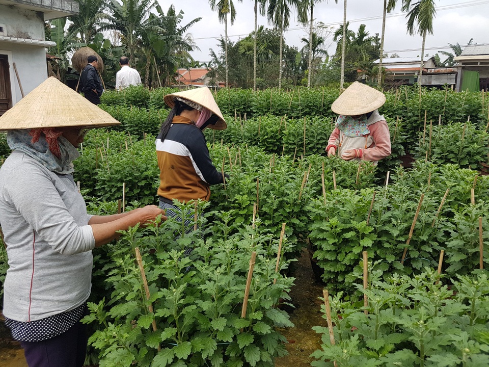 Xúc tiến du lịch sinh thái ở vùng Gò Nổi - 5 Làng trồng hoa Phú Đông