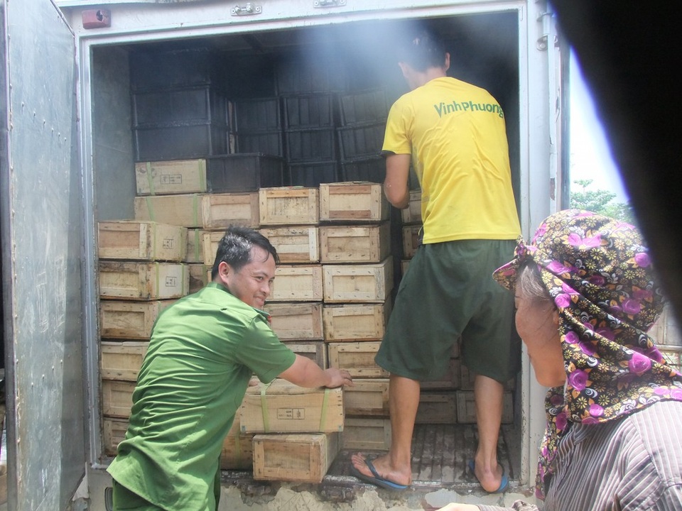 Thu giữ hơn 3 tấn sứa sơ chế ngâm chất làm cứng và bảo quản lâu - 1
Lực lượng chức năng thu giữ toàn bộ số sứa bẩn đã đóng gói