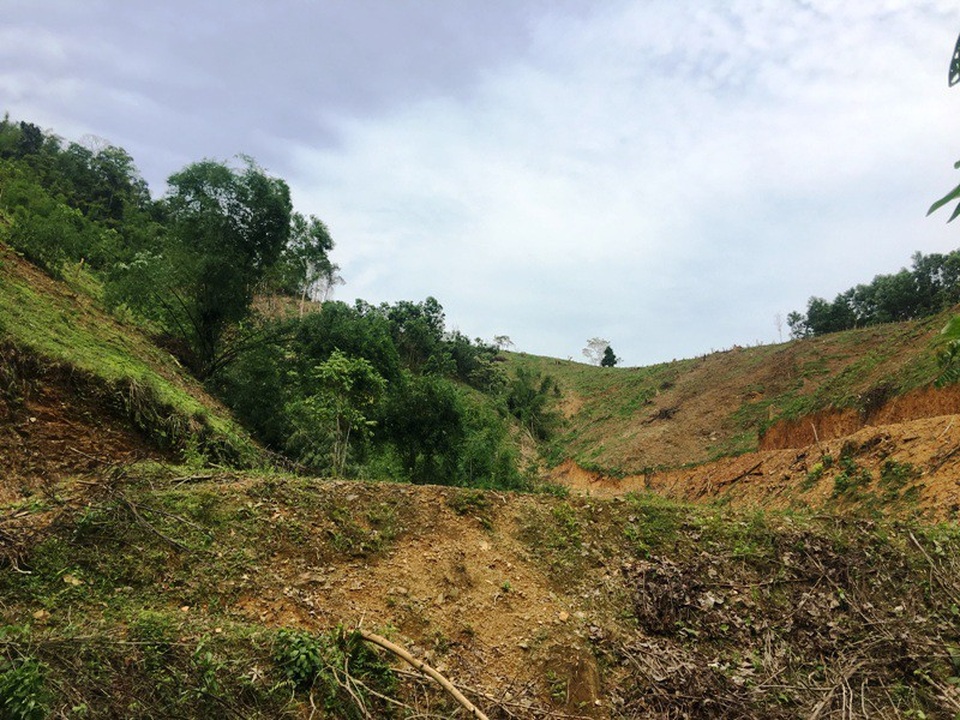 Những cánh rừng bị tàn phá tan hoang - 4 Những quả đồi trước đây là rừng, giờ đây đã bị cạo trọc