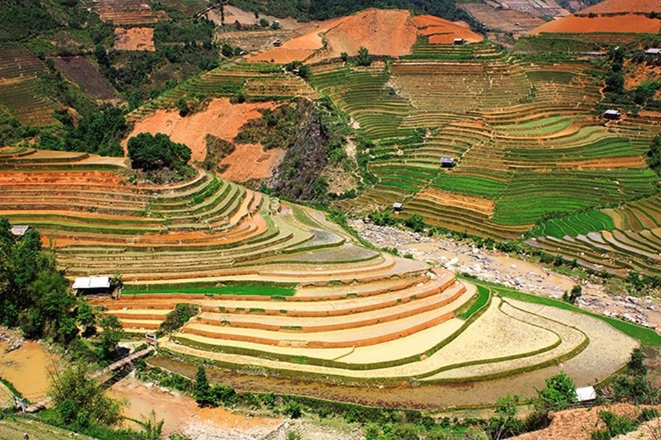 Mù Cang Chải đẹp như tranh vẽ vào mùa những con nước đổ ải - 1 Ruộng bậc thang hình chiếc giày nổi tiếng ở Mù Cang Chải.