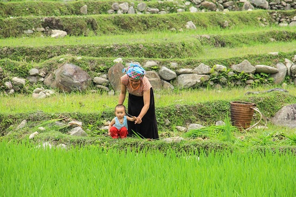 Mù Cang Chải đẹp như tranh vẽ vào mùa những con nước đổ ải - 14 Lên đường thôi, hương lúa ngào ngạt đang vẫy gọi nơi đó - xứ Mù...