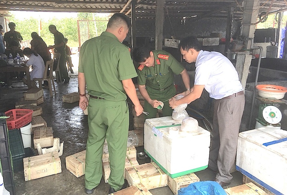 Thu giữ hơn 3 tấn sứa sơ chế ngâm chất làm cứng và bảo quản lâu - 3 Lực lượng chức năng lấy mẫu để về giám định.