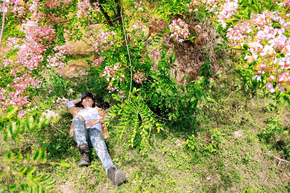 Vũ Mạnh Cường mê mẩn hoa đào phương Nam - 7 Vũ Mạnh Cường mê mẩn hoa đào phương Nam - 7