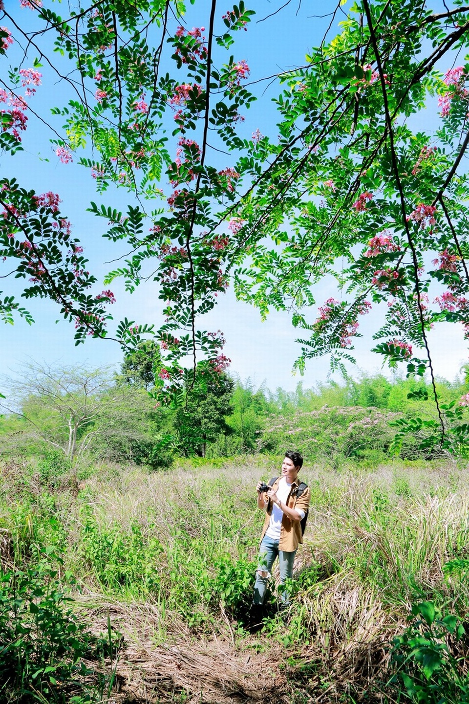Vũ Mạnh Cường mê mẩn hoa đào phương Nam - 2 Vũ Mạnh Cường mê mẩn hoa đào phương Nam - 2