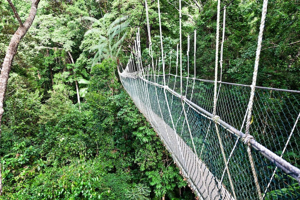 Những công viên quốc gia đẹp nhất Malaysia - 2 Những công viên quốc gia đẹp nhất Malaysia - 2