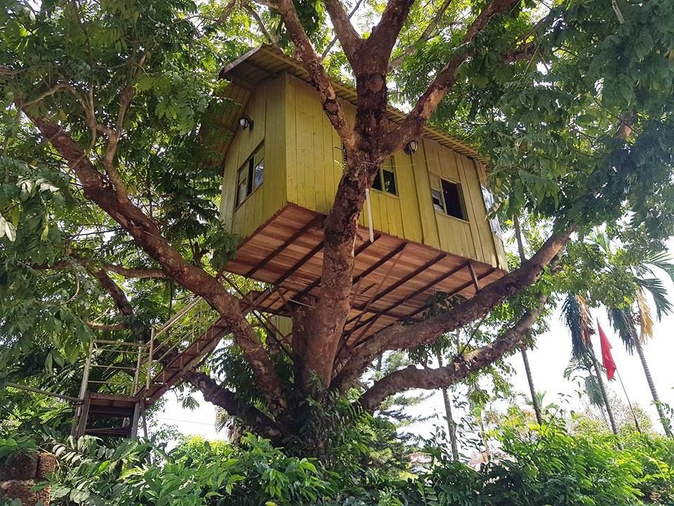 Từ nhiều năm nay, ngôi nhà trên cây độc đáo này thu hút nhiều người đến chiêm ngắm, vào bên trong uống cà phê để thử cảm giác lạ.