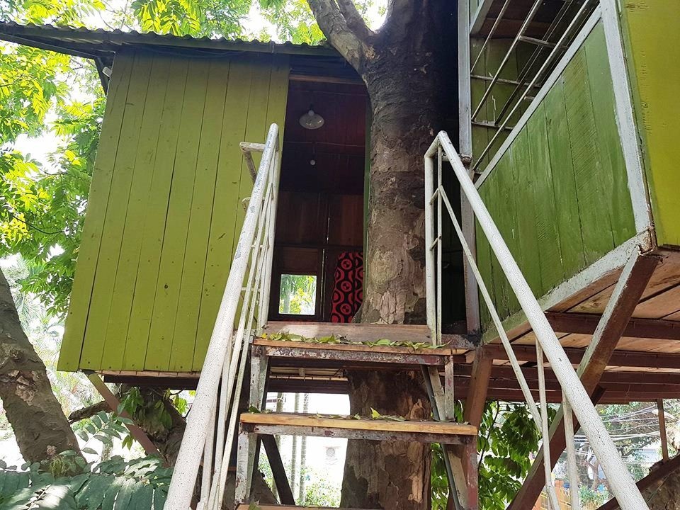 Thân chính của cây sấu già được ngôi nhà ôm trọn. Mới nhìn, thân cây như cây cột xương sống của toàn bộ căn nhà. Đây cũng là bức tường ngăn ra hai cửa của căn nhà.