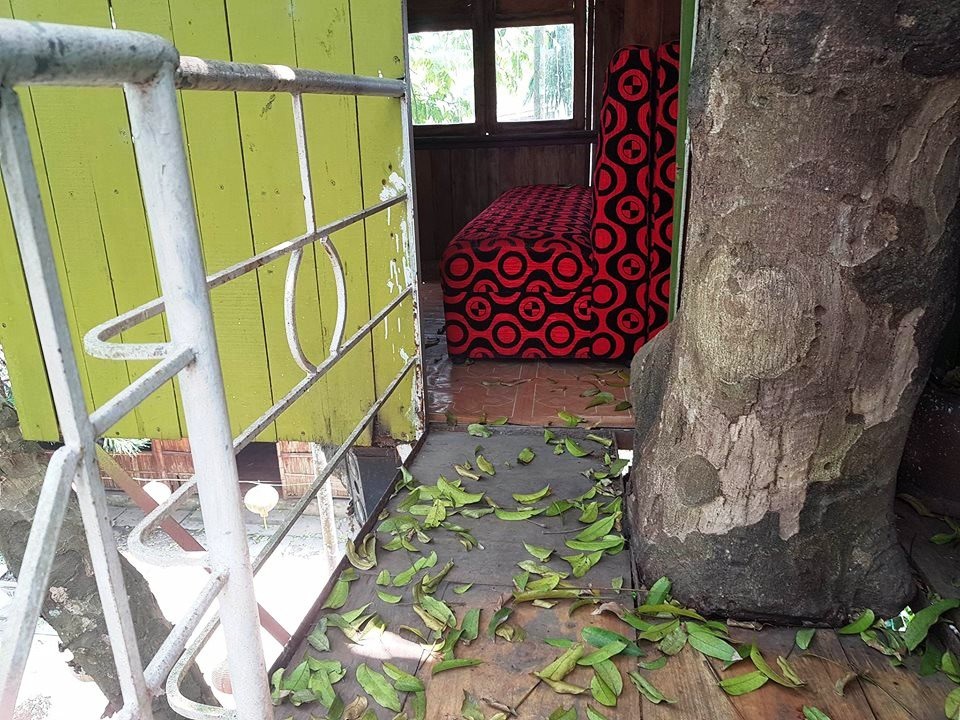 Lối vào một phòng của ngôi nhà nằm xen kẽ với thân cây sấu. Lối đi này nhỏ và rộng chưa đầy 50cm. Vì thế để vào được bên trong phải đi từng người một.