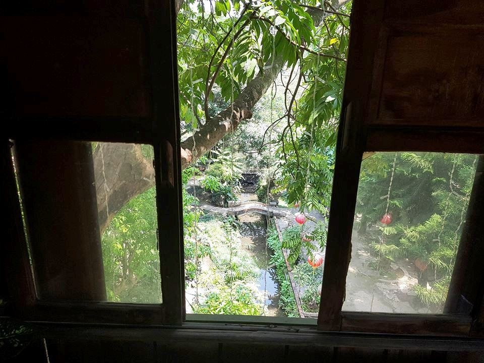 Những ô cửa sổ cũng được làm với kiểu dáng khác thường, có ô thoáng gió và ô kính hút ánh sáng. Từ những ô cửa này có thể nhìn thấy toàn bộ không gian của quán cà phê hay phía ngoài đường đi.