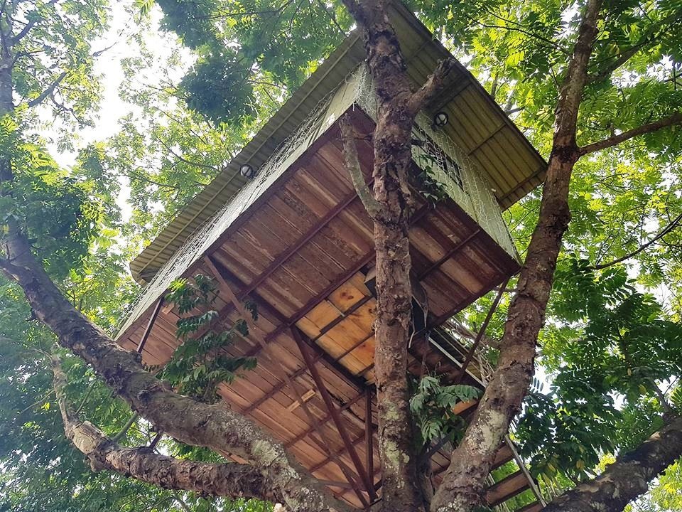 Ngôi nhà gỗ cheo leo trên ngọn cây này là ngôi nhà độc đáo có một không hai ở Ninh Bình hiện nay. Nhà trên cây nhưng cũng được chia làm nhiều phòng khác nhau và có nhiều tiện nghi.