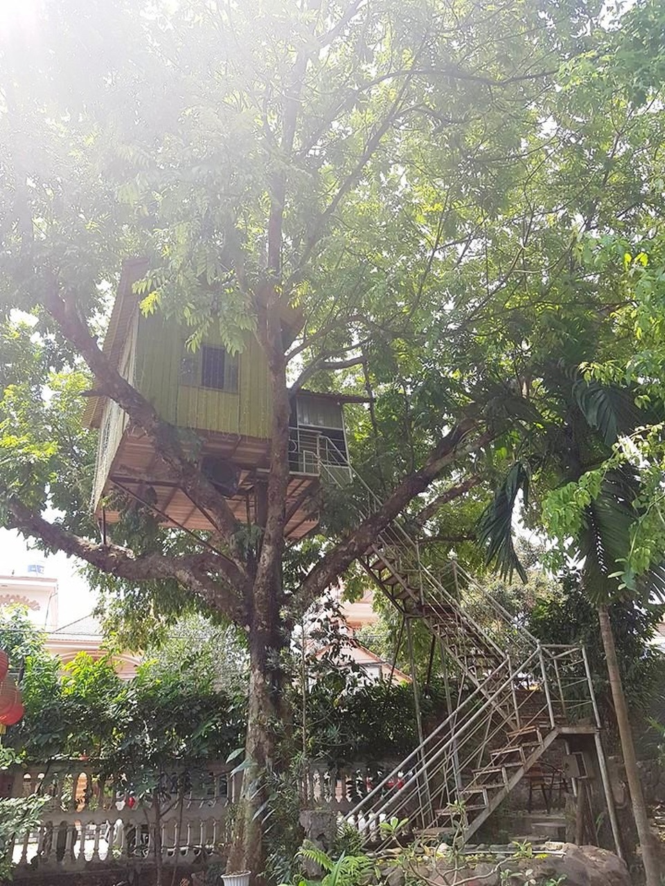 Ngôi nhà nằm trên ngọn cây được làm bằng khung sắt và gỗ, mái tôn. Căn nhà rộng gần 10m2 nằm trên cây sấu già có nhiều cành.