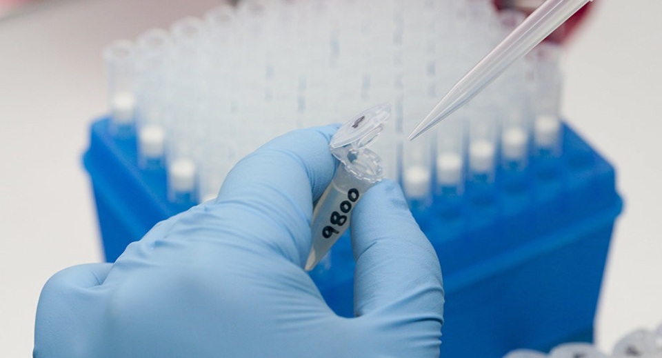 Virút Zika có thể tiêu diệt các tế bào tạo thành khối u não ác tính? - 1 Virút Zika có thể tiêu diệt các tế bào tạo thành khối u não ác tính? - 1
