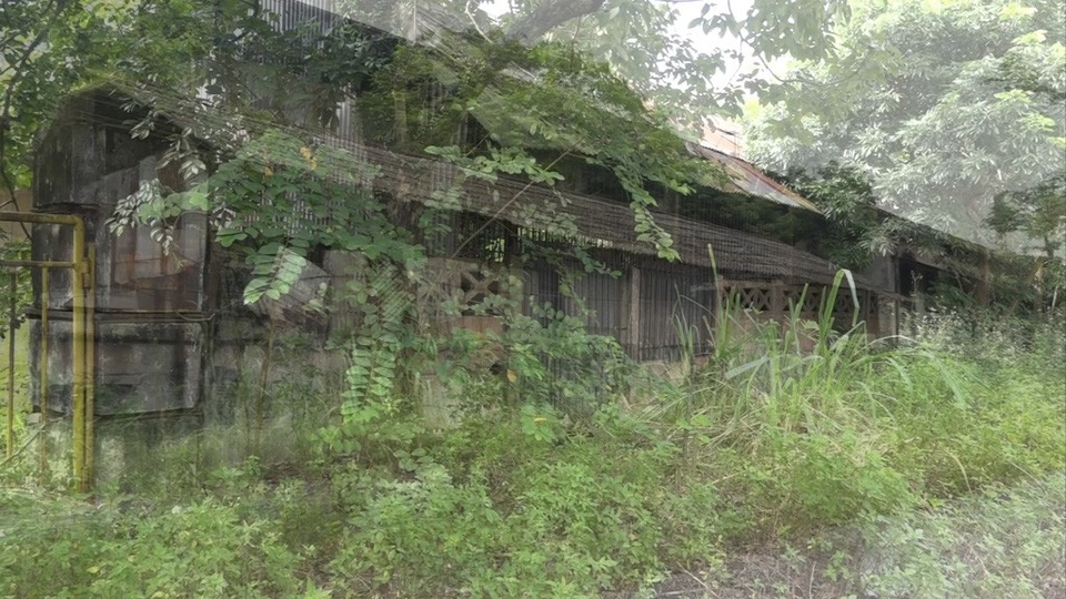 Bài 1: Đừng để lặp lại bài học đắt giá Vinashin - 3 
Nhà máy Thép Gia Sàng