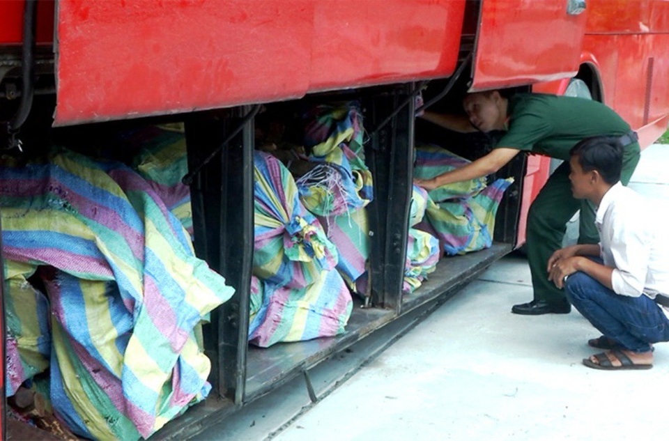 Bắt xe ôtô mang biển kiểm soát Campuchia vận chuyển hơn 3 tấn gỗ trắc - 2 Hiện cơ quan chức năng tỉnh An Giang đã thông báo với chính quyền Campuchia về vụ việc để phối hợp tìm chủ sở hữu số gỗ trắc trên