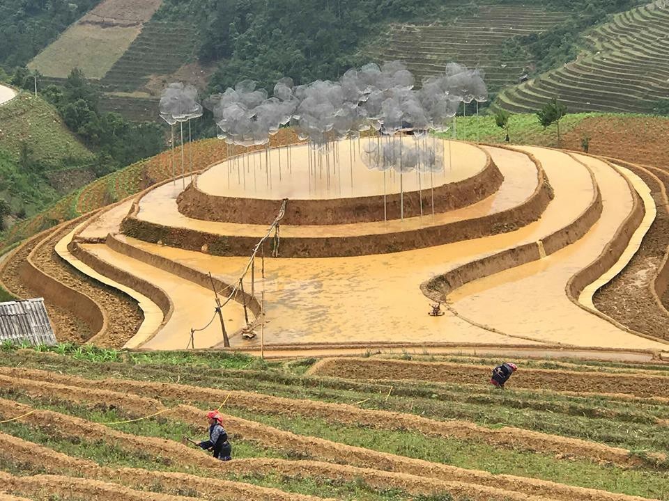 Sửng sốt hàng nghìn viên pha lê lấp lánh trên ruộng bậc thang Mù Cang Chải - 6 Cận cảnh vườn pha lê trên ruộng bậc thang Mù Cang Chải