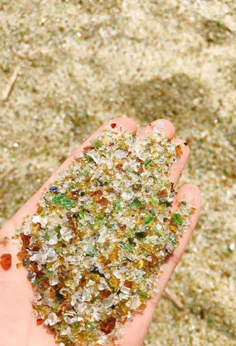 Vẻ đẹp kỳ lạ của bãi biển thủy tinh Nhật Bản - 2
Khi đến gần, bạn sẽ phát hiện ra thứ lấp lánh là rất nhiều viên sỏi thủy tinh được mài tròn