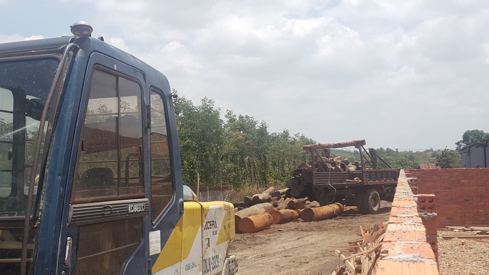 Vụ trùm gỗ lậu Phượng “râu”: Hoạt động tội phạm tinh vi - 3 Số gỗ này đang được phân loại, xác minh chủng loại