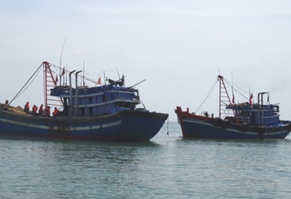 Những chiếc tàu giã cào công suất lớn đánh bắt ngày đêm ở vùng lộng khiến nguồn hải sản bị tận diệt.