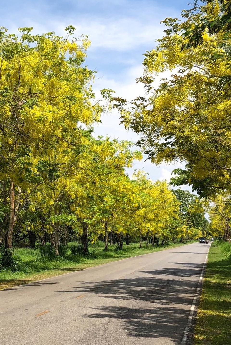 Chiang Mai – Vẻ đẹp lặng! - 8 Chiang Mai – Vẻ đẹp lặng! - 8