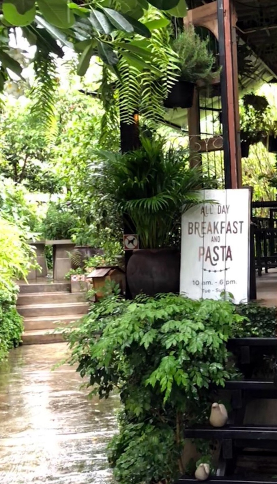 Chiang Mai – Vẻ đẹp lặng! - 7
Người Thái rất tinh tế trong việc tạo ra không gian mở gần gũi với thiên nhiên nhưng không kém phần hiện đại.
