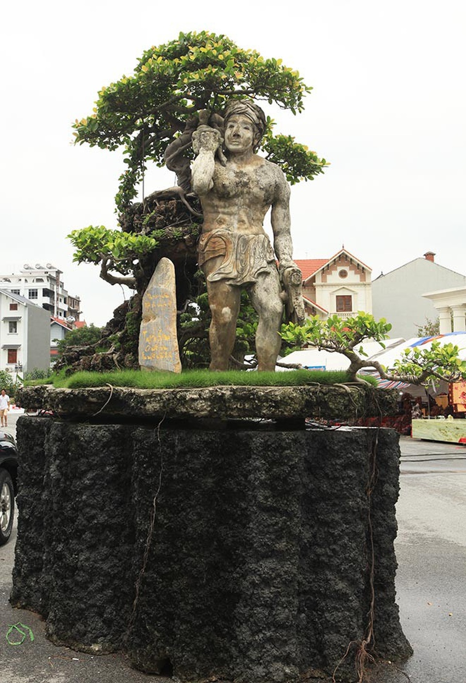 Xôn xao “cây Thạch Sanh” được báo giá hơn 4 tỷ đồng ở Hải Dương - 1
Xuất hiện tại Triển lãm Sinh vật cảnh tỉnh Hải Dương, tác phẩm “Thạch Sanh” gây ngạc nhiên với nhiều du khách, giới chơi cây không chỉ bởi tính nghệ thuật mà còn bởi ý nghĩa của tác phẩm.