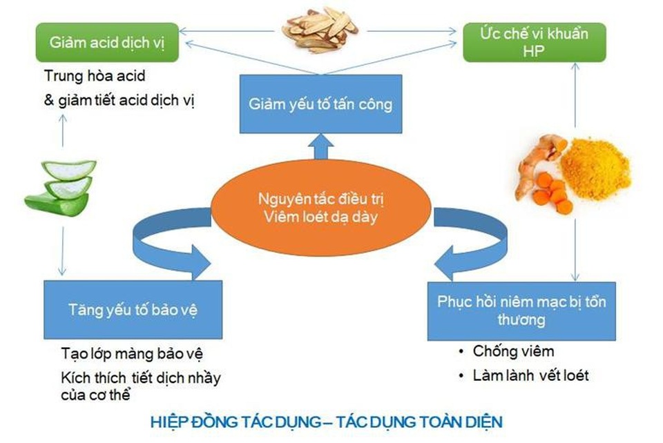 Đau dạ dày cấp: Đừng tưởng chỉ dùng tinh nghệ nano là đủ - 2
Hiểu được điều này, thế hệ mới nhất TPBVSK CumarGold Fast, được bổ sung thêm bộ đôi tinh chất quý DGLE và Aloe vera được nhập khẩu từ Pháp, giúp GIẢM CƠN ĐAU DẠ DÀY CHỈ SAU 2 giờ nhờ khả năng tạo lớp màng bao vết loét, đồng thời ức chế tiết và trung hòa acid dịch vị dư thừa,.