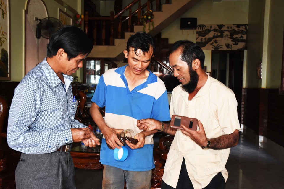 Sản xuất tiêu sạch: Hướng đi “đột phá” trước thảm cảnh giá "vàng đen" lao dốc - 1 Những người nông dân liên kết với...nông dân đã làm nên những hạt tiêu hữu cơ sạch có giá hàng trăm ngàn đồng/kg