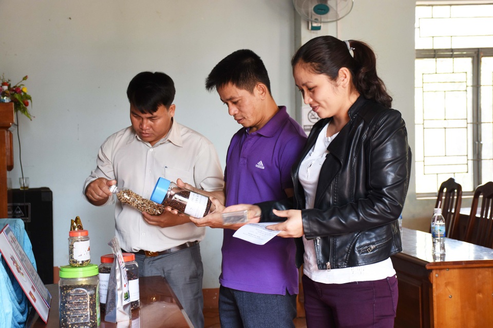 Sản xuất tiêu sạch: Hướng đi “đột phá” trước thảm cảnh giá "vàng đen" lao dốc - 2 Hiện tiêu sạch của bà con xã Nam Yang được kiểm nghiệm và xuất ra thị trường các nước trên thế giới