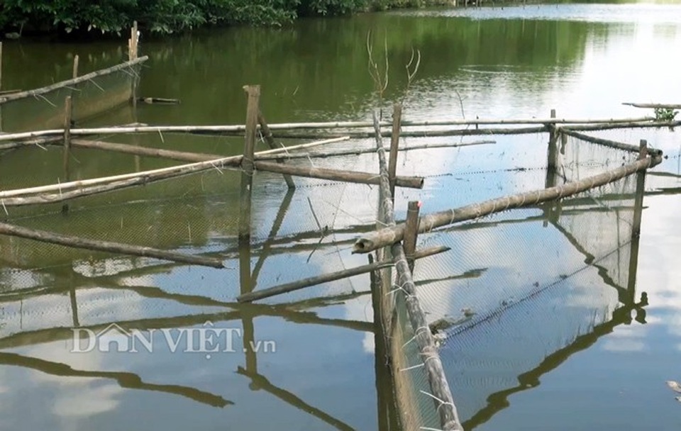 "Cao thủ" miền Tây dùng chiêu chế nò xúc bắt cả đàn cá trê "khủng" - 6
Những chiếc nò được thiết kế đặc biệt để cá chỉ vào được mà không ra được (Ảnh: Chúc Ly).