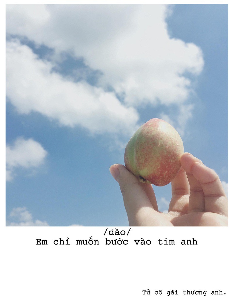 Màn “thả thính” siêu dễ thương bằng... hoa quả của 9x TP. HCM - 4 Màn “thả thính” siêu dễ thương bằng... hoa quả của 9x TP. HCM - 4