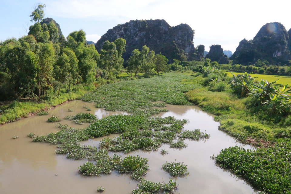 Dự án nạo vét sông “đội vốn” 36 lần, thi công 17 năm chưa xong - 12 Đoạn sông Sào Khê gần ngã 3 giao với sông Tràng An đầy cỏ rác và bèo. Nhiều người dân địa phương ví von, với số tiền 2.595 tỷ đồng, 14km sông phải được dát vàng nhưng sau gần 20 năm vẫn đầy bèo.