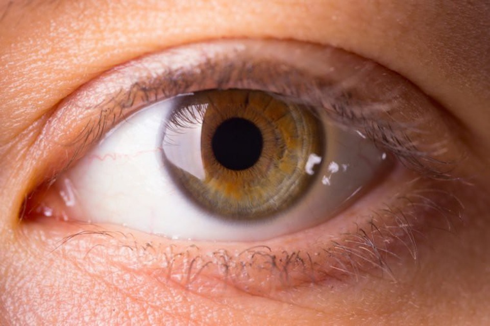 Nhận diện những mối nguy hiểm của nắng nóng - 1