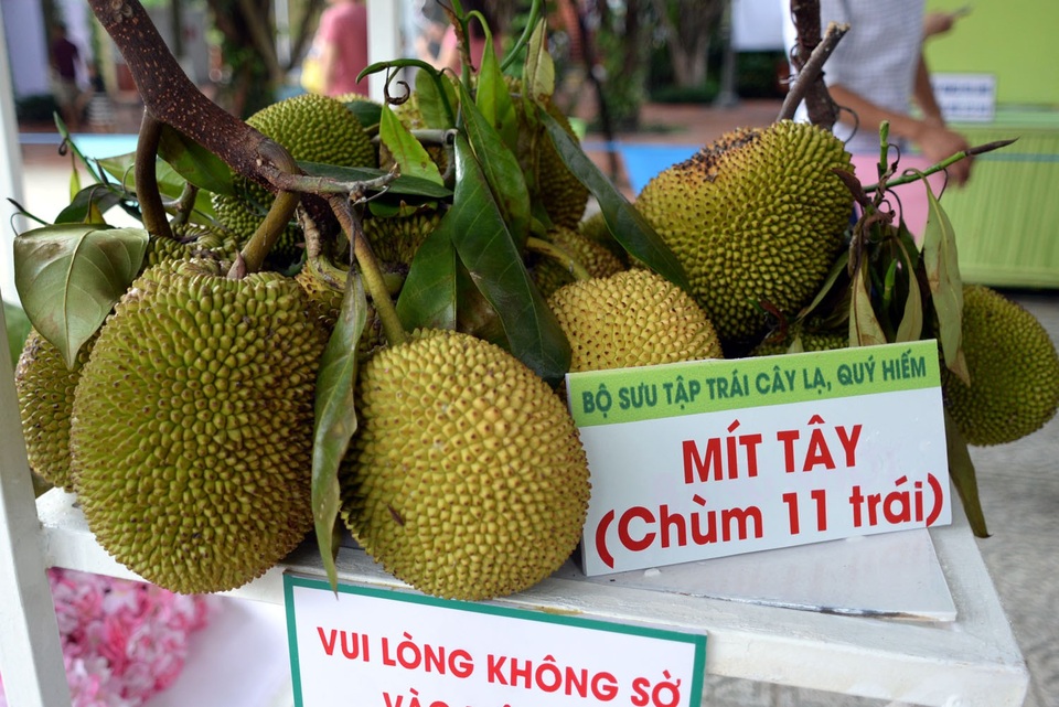 Lễ hội trái cây Nam Bộ 2018: Không thu phí trẻ em ngày 1/6 - 5 Khu vực vườn “Kỳ Hoa Dị Thảo” sẽ đưa du khách đến vương quốc nấm kỳ diệu; chiêm ngưỡng bộ sưu tập củ quả khổng lồ: Bí ngô Đà Lạt 150kg, bí đao Bình Định 100kg, ớt khổng lồ…; các loại trái cây lạ, quý hiếm như: Gió bầu, Cau kiểng, Cọ bạc, Thằn lằn, Trái bứa, Trái tha la, Trái viết, dừa Hồ Lô Tài Lộc, dưa pepino Đà Lạt, thơm phụng Long An, đu đủ nghệ thuật...