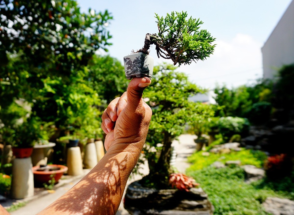 Bonsai siêu mini giá chục triệu đồng ở Sài Gòn - 8 Những cây bon sai siêu nhỏ có thể đặt trên ngón tay.