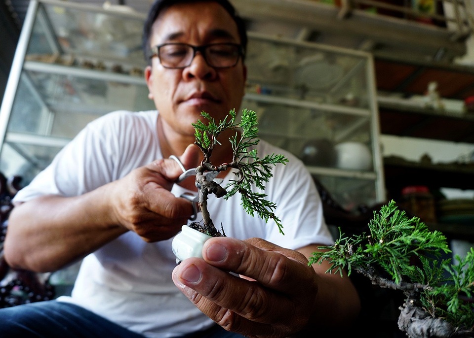 Bonsai siêu mini giá chục triệu đồng ở Sài Gòn - 5 Ông Vinh vốn là dân công nghệ, nhưng vì đam mê với cây cảnh nên ông quyết định đầu tư vào niềm đam mê của bản thân.